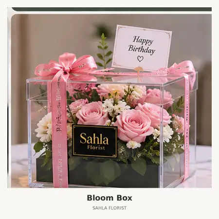 Bloom Box Ejip
